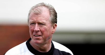 Newcastle's January transfer window splurge given Steve McClaren verdict