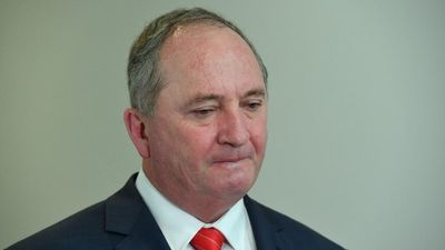 Barnaby Joyce apologises for calling Scott Morrison a 'hypocrite and a liar'