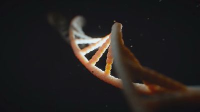 DNA: New home for world's data?
