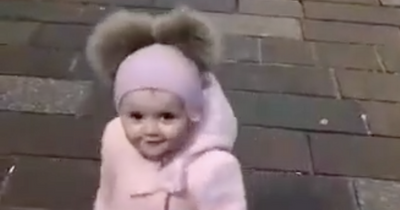 Adorable Scots tot brings Glasgow Buchanan Street shoppers to standstill dancing to busker's tunes