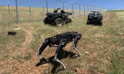 US tests of robotic patrol dogs on Mexican border prompt outcry