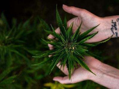 Scotts Miracle-Gro Reports Expiration And Results Of $500M Exchange Offer For 4.000% Senior Notes