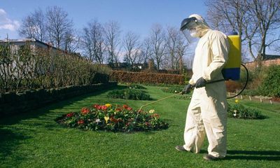 EU plans to ban use of synthetic pesticides in parks