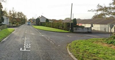Dungiven campaigner says proposed site for new Translink park-and-ride is "completely unsafe"