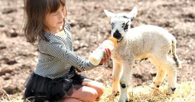 Things to do and places to take the kids in Oldham