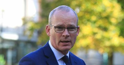 Oireachtas committee to quiz Simon Coveney on champagne party