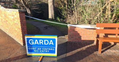 Body of man, 60s, discovered in north Dublin river