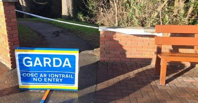 Garda investigation underway after man's body discovered in Dublin river