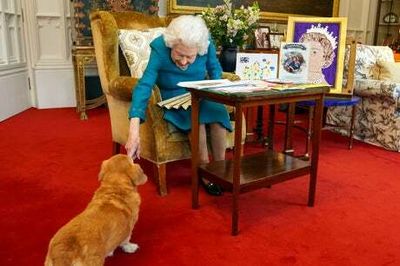 Queen gets surprise visit from her dorgi Candy as she views Jubilee memorabilia