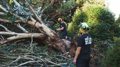 Belconnen storm clean up continues ahead of calmer week