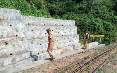 Madras High Court takes note of wall on elephant corridor