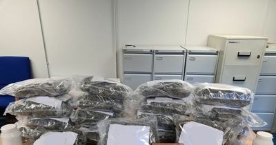 Man arrested after gardai seize €590,000 worth of drugs at Cork checkpoint