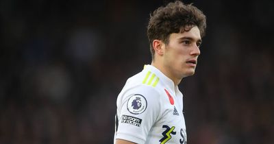 Daniel James has explained why he has 'enjoyed' new Leeds United striker role