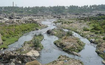 Environmentalist Foundation of India takes up rejuvenation of Tamil Nadu waterbodies near estuaries to reduce salinity ingress
