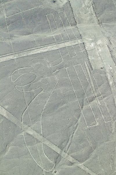 Peru light plane crash at Nazca Lines kills five tourists, two crew