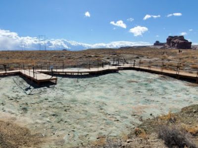 ‘They’re literally driving on these’: Conservationists battle government over site containing more than 200 dinosaur tracks