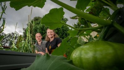Locals turn to gardening as mental health hobby