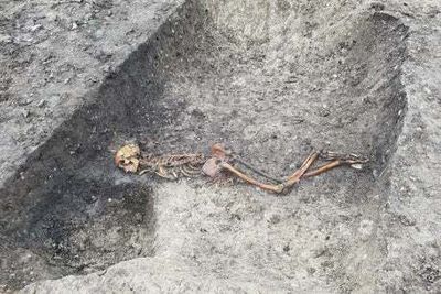 Archaeologists discover 40 beheaded skeletons in huge Roman cemetery in Buckinghamshire