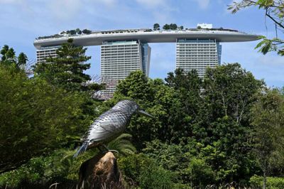 Singapore's daily local cases triple to 13,000