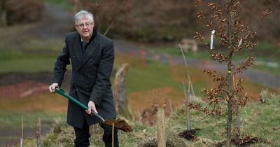 Wales to plant woodlands in memory of people who died in Covid pandemic