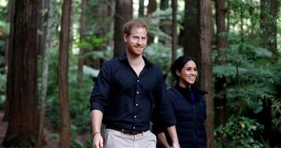 Harry and Meghan 'putting money over principles' with Spotify deal, claims expert
