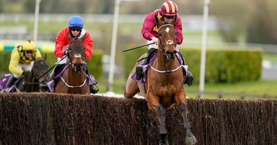 Leopardstown on Saturday: Tips and runners for every race including Irish Gold Cup