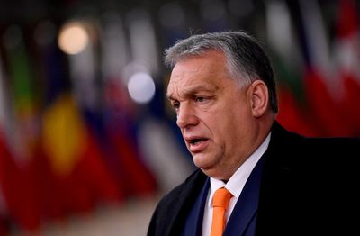 OSCE plans to send larger team of observers for Hungary elections