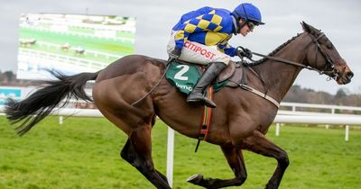 Dublin Racing Festival tips: Peter O'Hehir's selections for day one at Leopardstown
