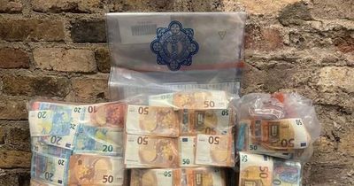 Gardai seize €374,000 after stopping two vehicles in major 'organised crime group' operation