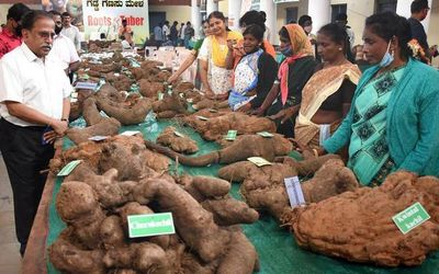 Reconnecting with roots at tuber mela in Mysuru