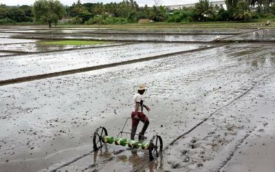 Farmers in Karnataka flock to online classes for latest trends in agriculture practices