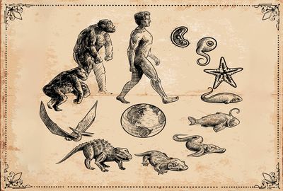 New study turns evolution upside-down