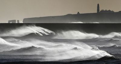 Strong winds cause closures across region with more forecast for Sunday