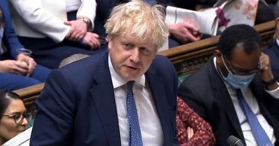 'It could be curtains for Boris if he continues with the lies'