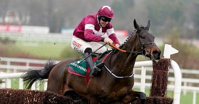 Conflated joins Gordon Elliott stablemate Galvin in Gold Cup picture after shock 18-1 win
