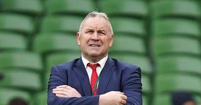 Wayne Pivac Q&A: We just couldn't match Ireland physically and we have to improve