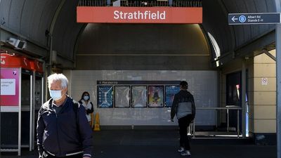 Strathfield's lack of multilingual information in by-election postal votes not serving democracy, peak ethnic body says