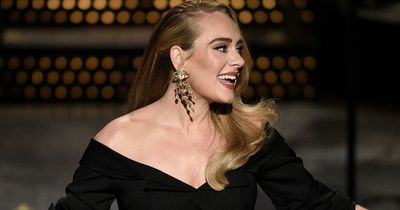 Adele's modest rider demands uncovered amid her Las Vegas 'Diva meltdown'