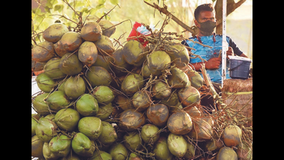 Kerala: Regular school hours back as final exams approach