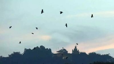 Pune: Wind pattern to keep temperatures above 13°C for next four days