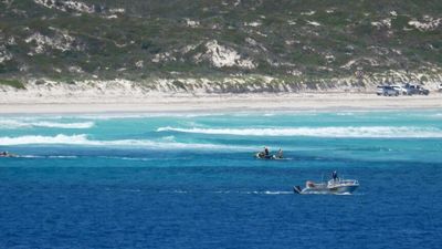Woman attacked by shark at Esperance in WA's south, scene of two previous fatal attacks