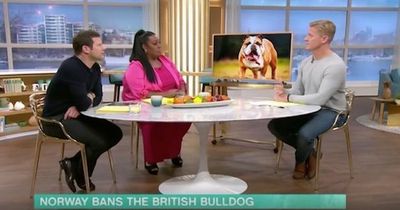 This Morning vet confirms other dog breeds 'in danger' after British Bulldog ban