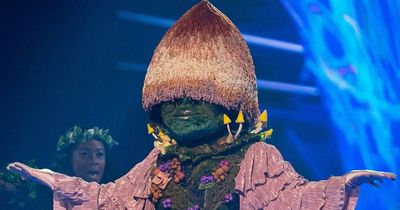 The Masked Singer's Mushroom 'identified' ahead of final after new clue