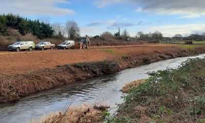 Anglers ‘heartbroken’ as stretch of River Tone stripped of trees