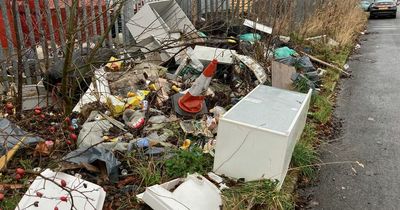 Edinburgh resident hits out at council's response to fly-tipping on private land