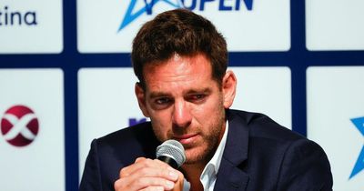 Juan Martin Del Potro announces likely retirement from tennis aged 33 in tearful statement