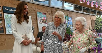 What is a Queen Consort? Camilla's key duties, job she's still not allowed and Kate's future