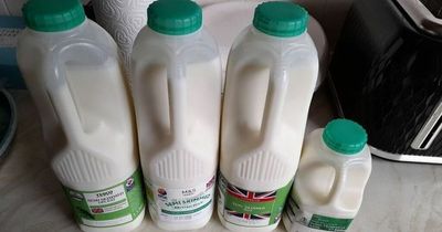 'I compared milk at supermarkets from Iceland to M&S - there's a clear winner'