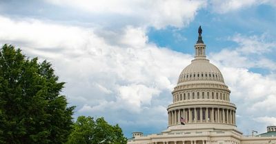 Top UK scientist to face US Congress in questions over origin of Covid virus
