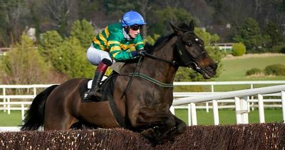 Fans amused as Leopardstown commentator goes silent before another favourite wins